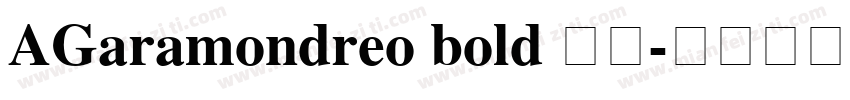 AGaramondreo bold 字体字体转换